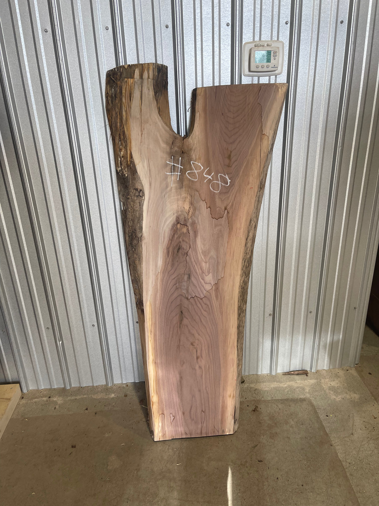 Black Walnut 8/4 Live Edge #848