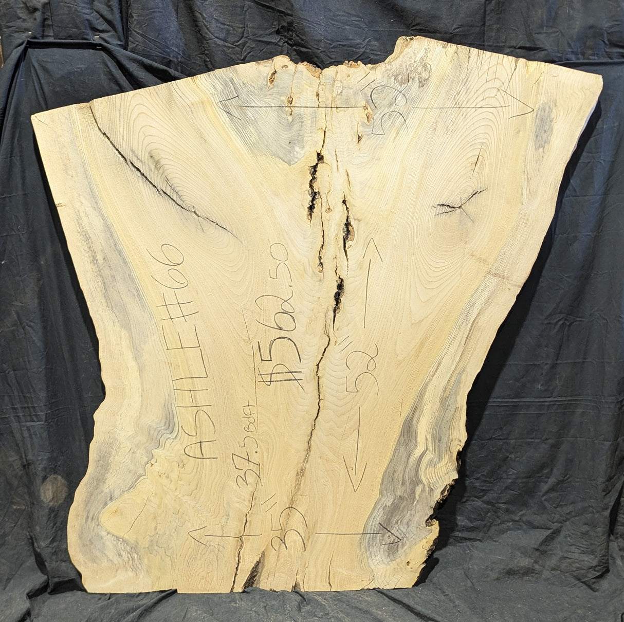 Ash Live Edge #066