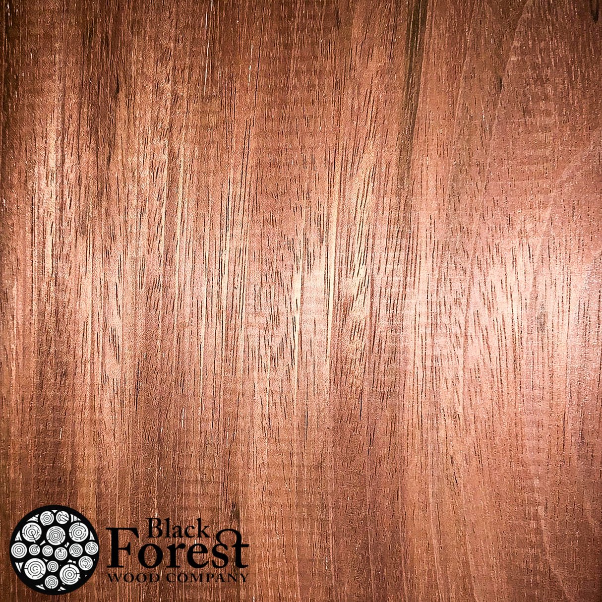 Sapele - Rounds
