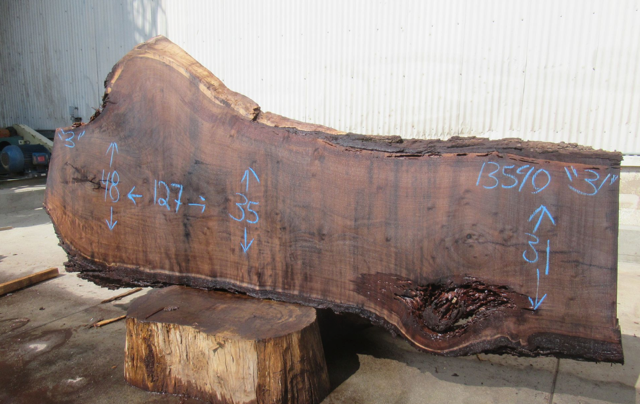 Claro Walnut Live Edge #13590