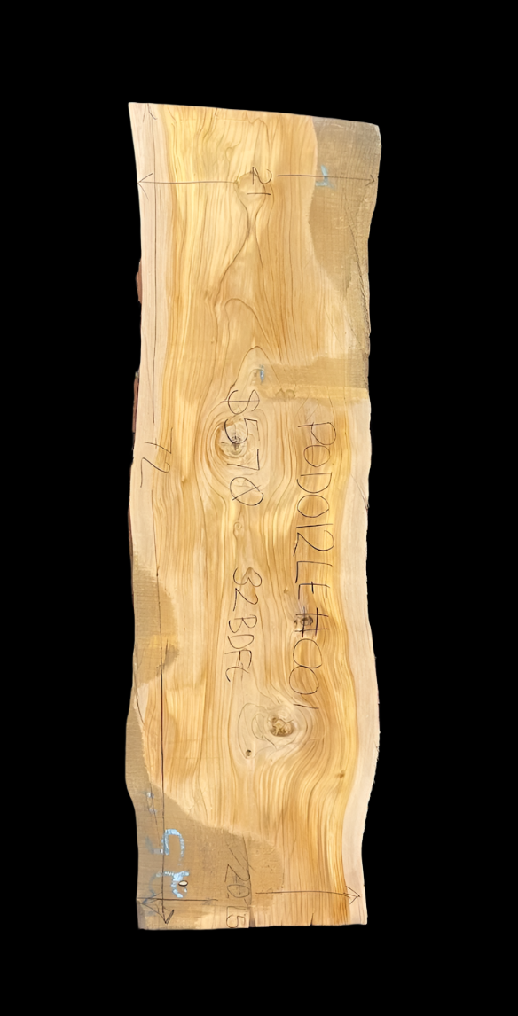 Podocarpus 12/4 Live Edge #001