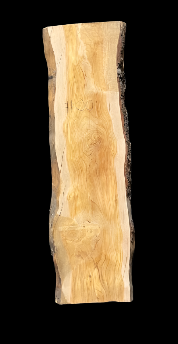 Podocarpus 12/4 Live Edge #001