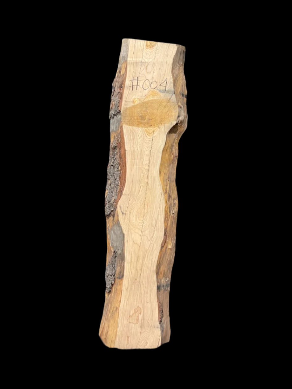 Podocarpus 12/4 Live Edge #004