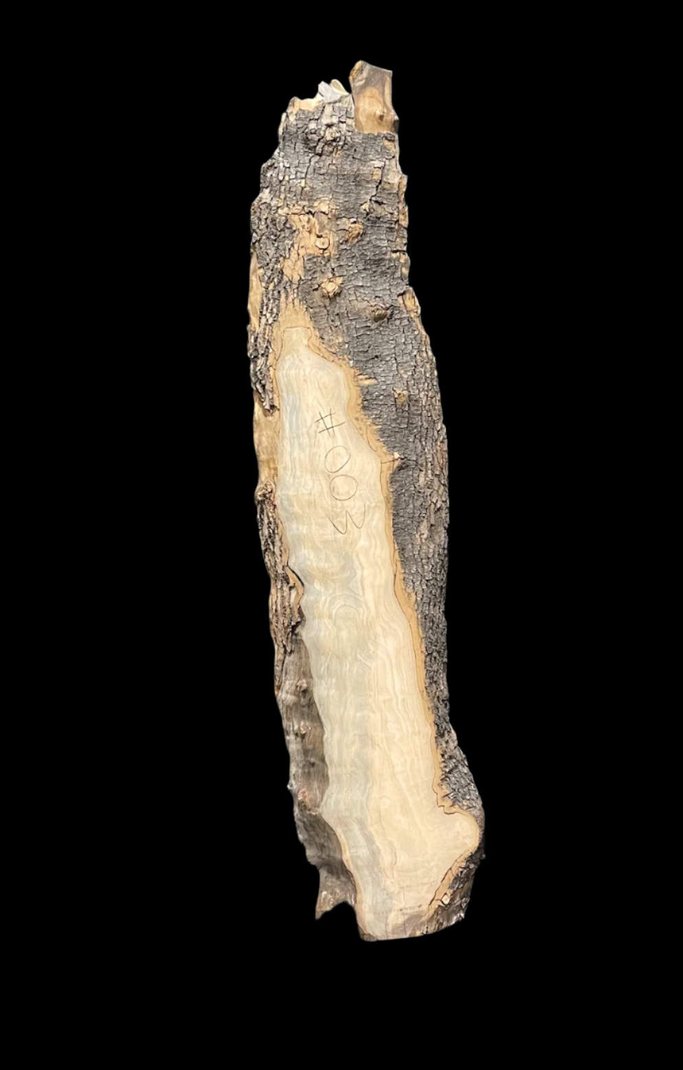 Podocarpus 12/4 Live Edge #003