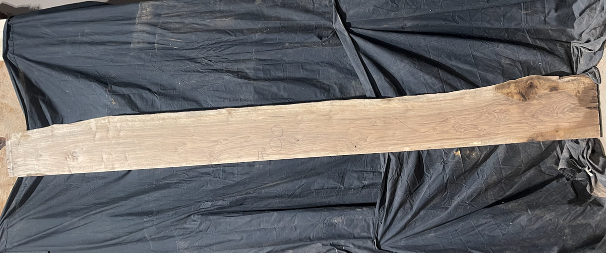 Bastogne Walnut 10/4 Live Edge #001