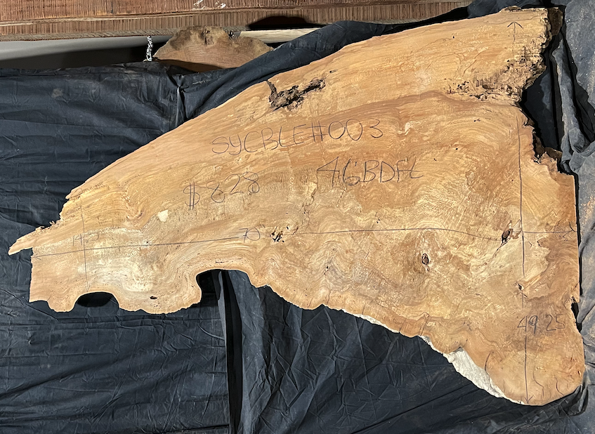Sycamore Burl 12/4 Live Edge #003