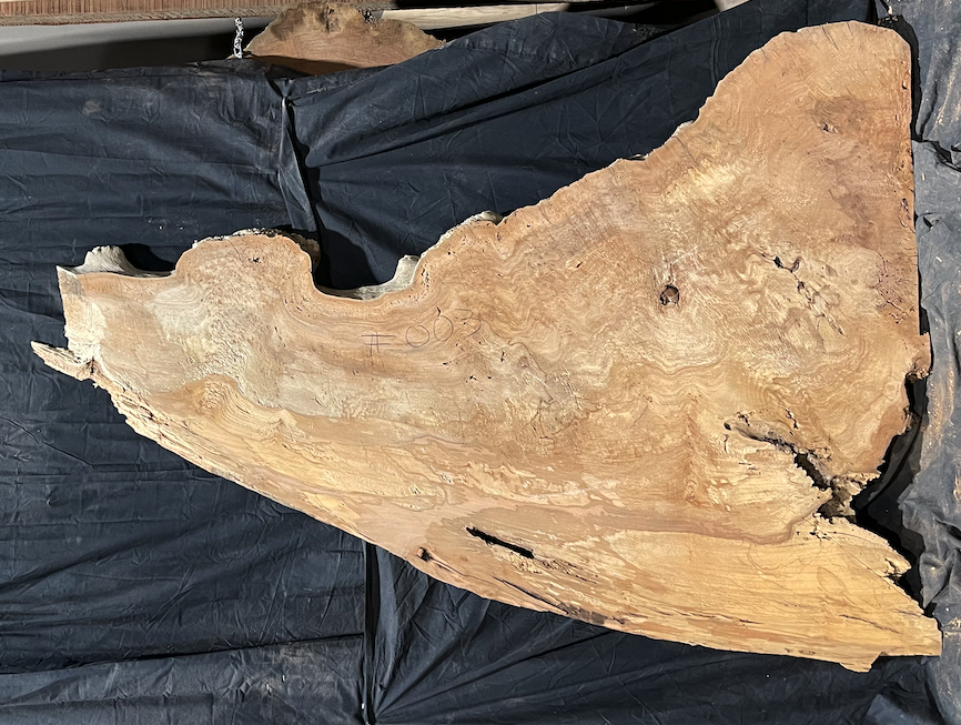 Sycamore Burl 12/4 Live Edge #003