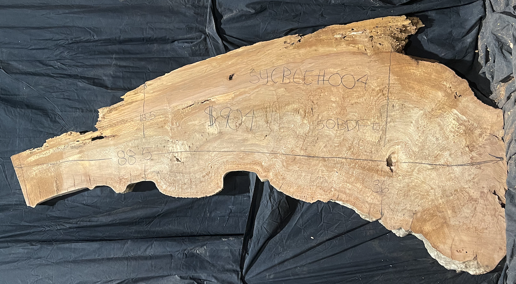Sycamore Burl 12/4 Live Edge #004