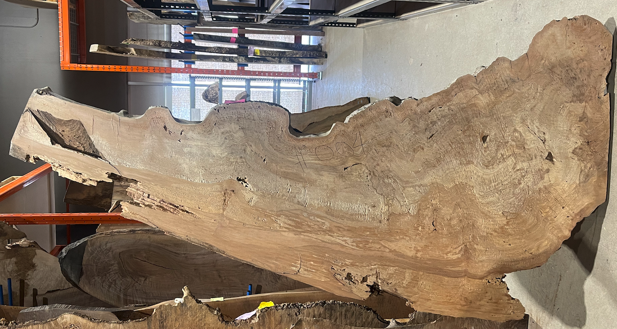 Sycamore Burl 12/4 Live Edge #004