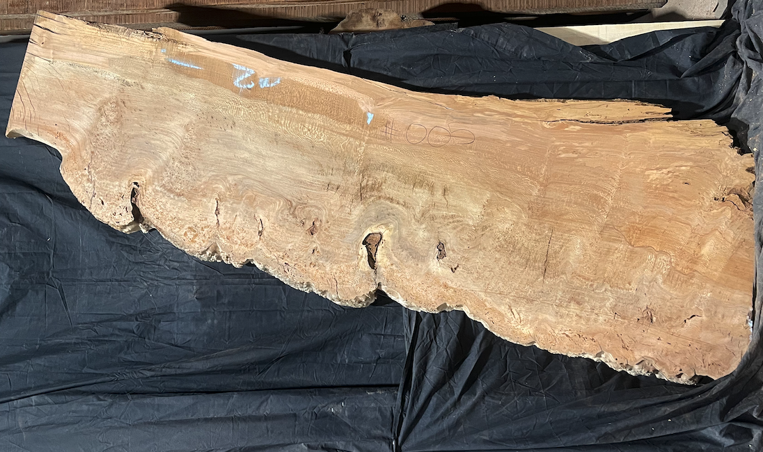 Sycamore Burl 12/4 Live Edge #005