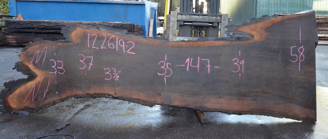 Black Walnut Live Edge #122619-2