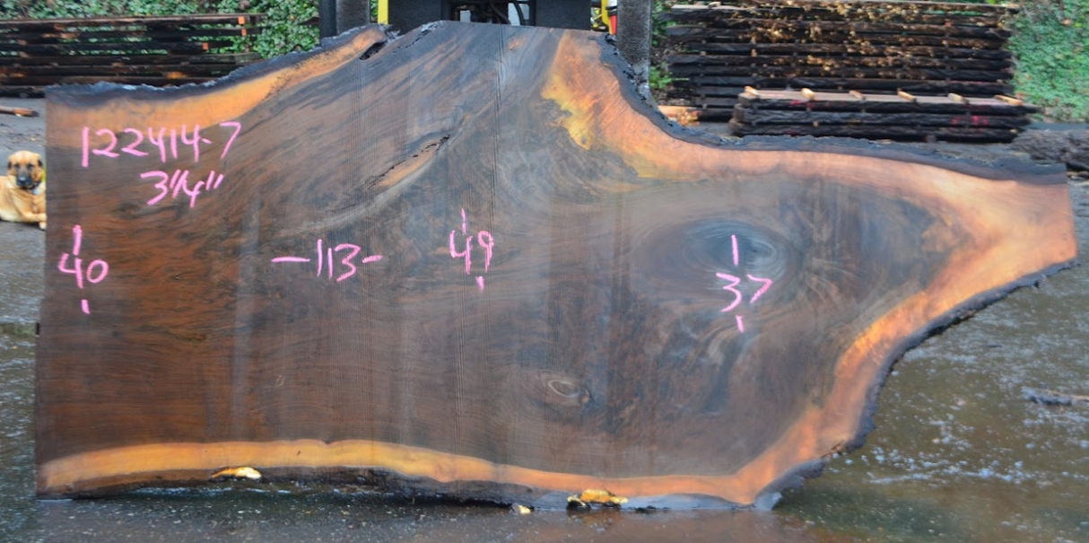 Black Walnut Live Edge #122414-7