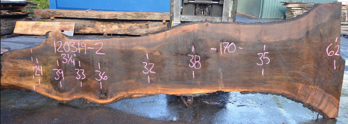 Black Walnut Live Edge #120319-2