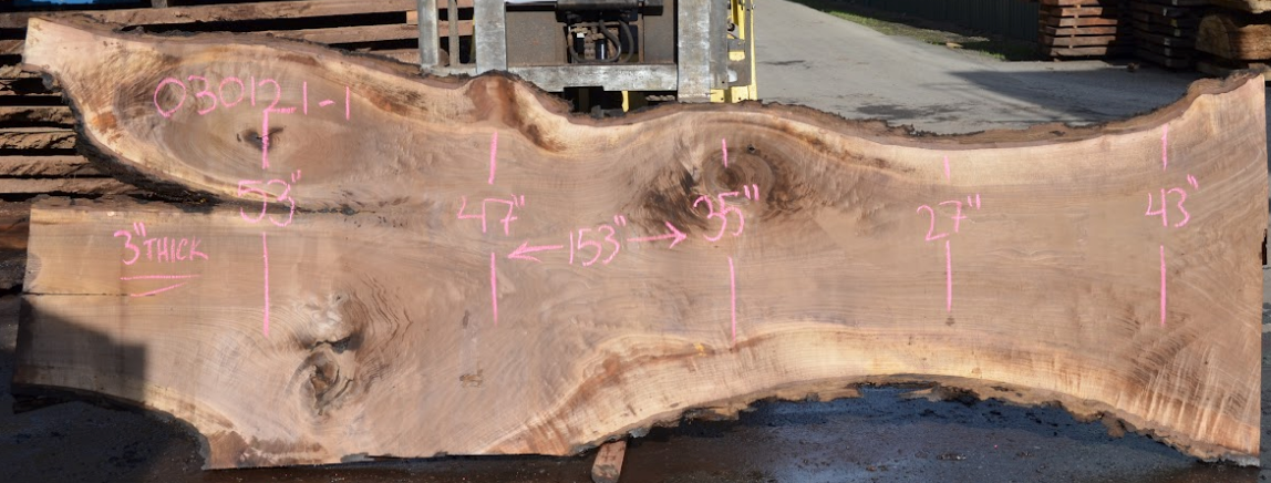 Black Walnut Live Edge #030121-1
