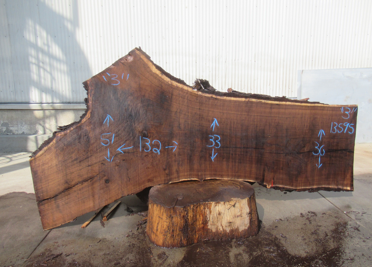 Claro Walnut Live Edge #13595