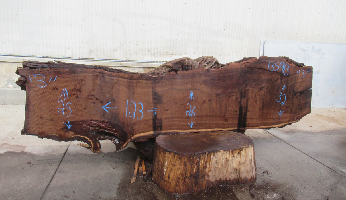 Claro Walnut Live Edge #13598