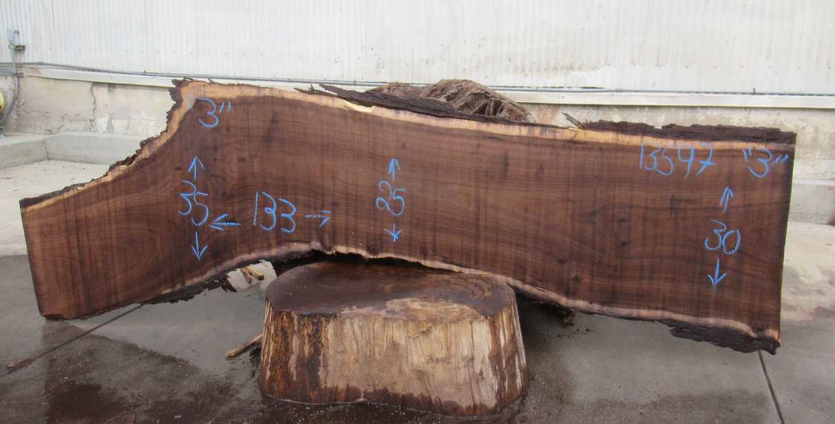 Claro Walnut Live Edge #13597