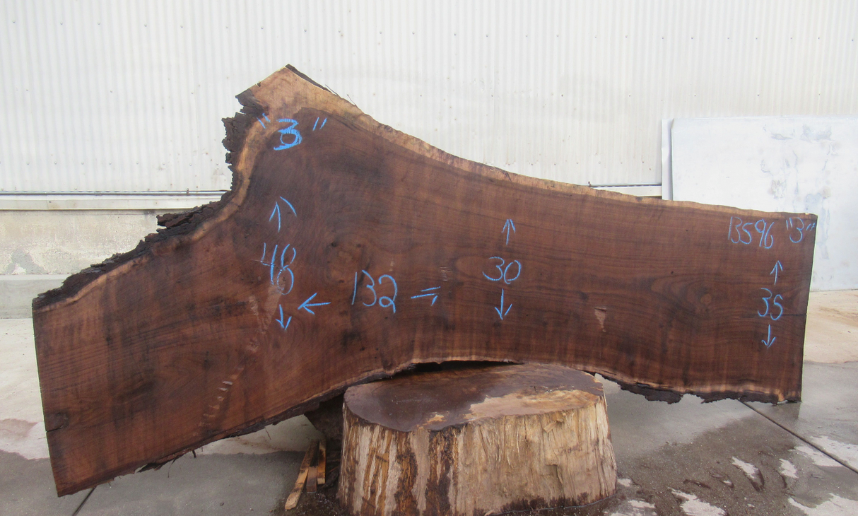 Claro Walnut Live Edge #13596