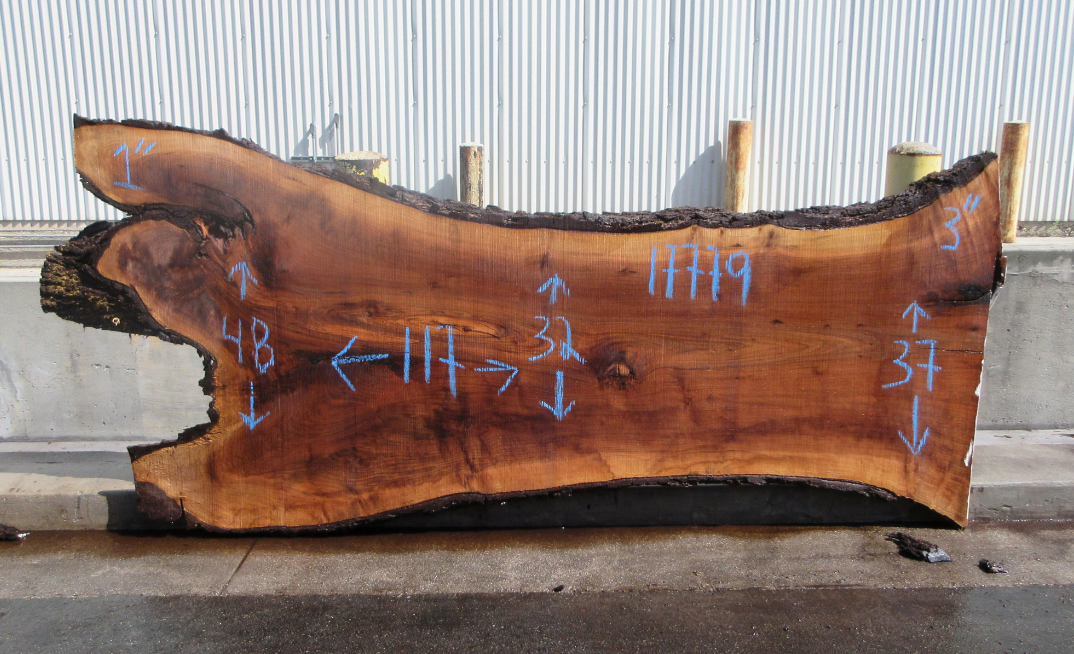 Claro Walnut Slab #17779