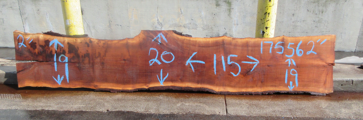 Claro Walnut Slab #17756