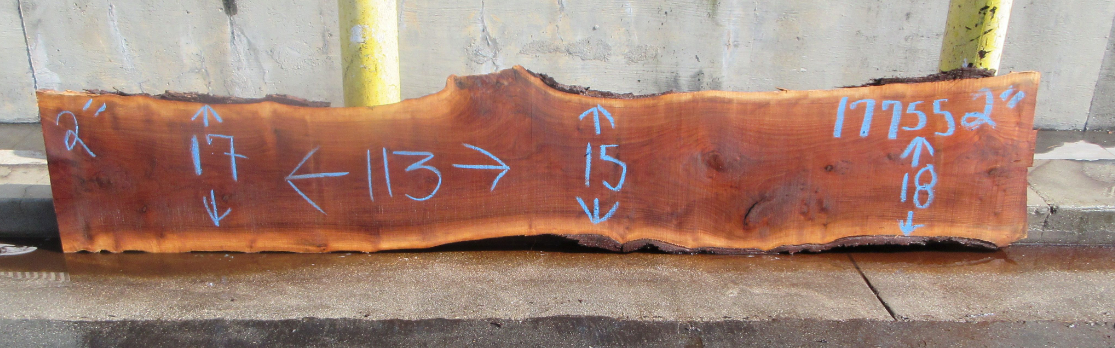 Claro Walnut Slab #17755