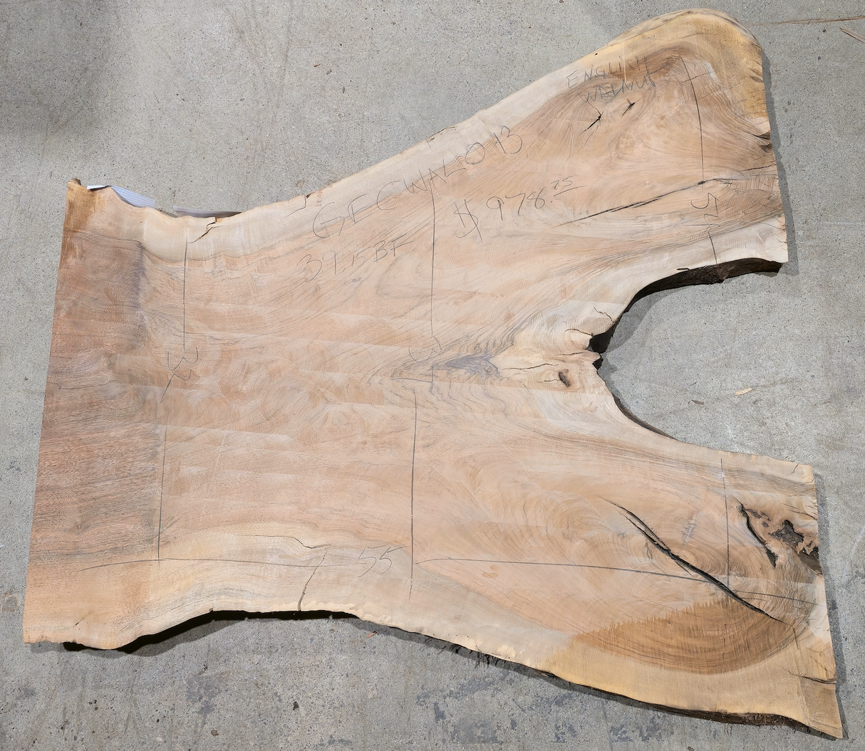 Grafted English-Claro Walnut Live Edge #013