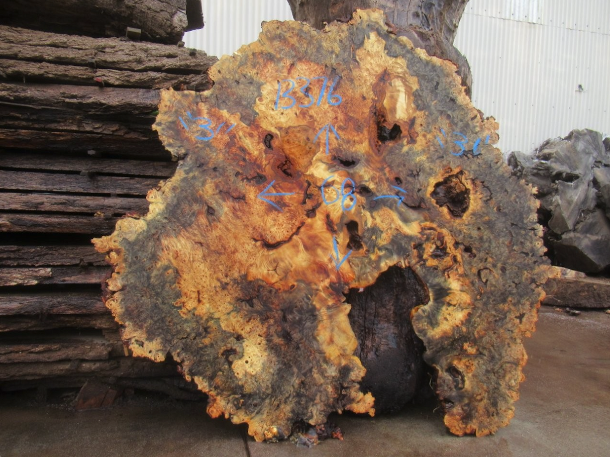 Buckeye Burl Live Edge #013