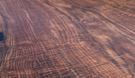 Walnut, Figured Claro 12/4