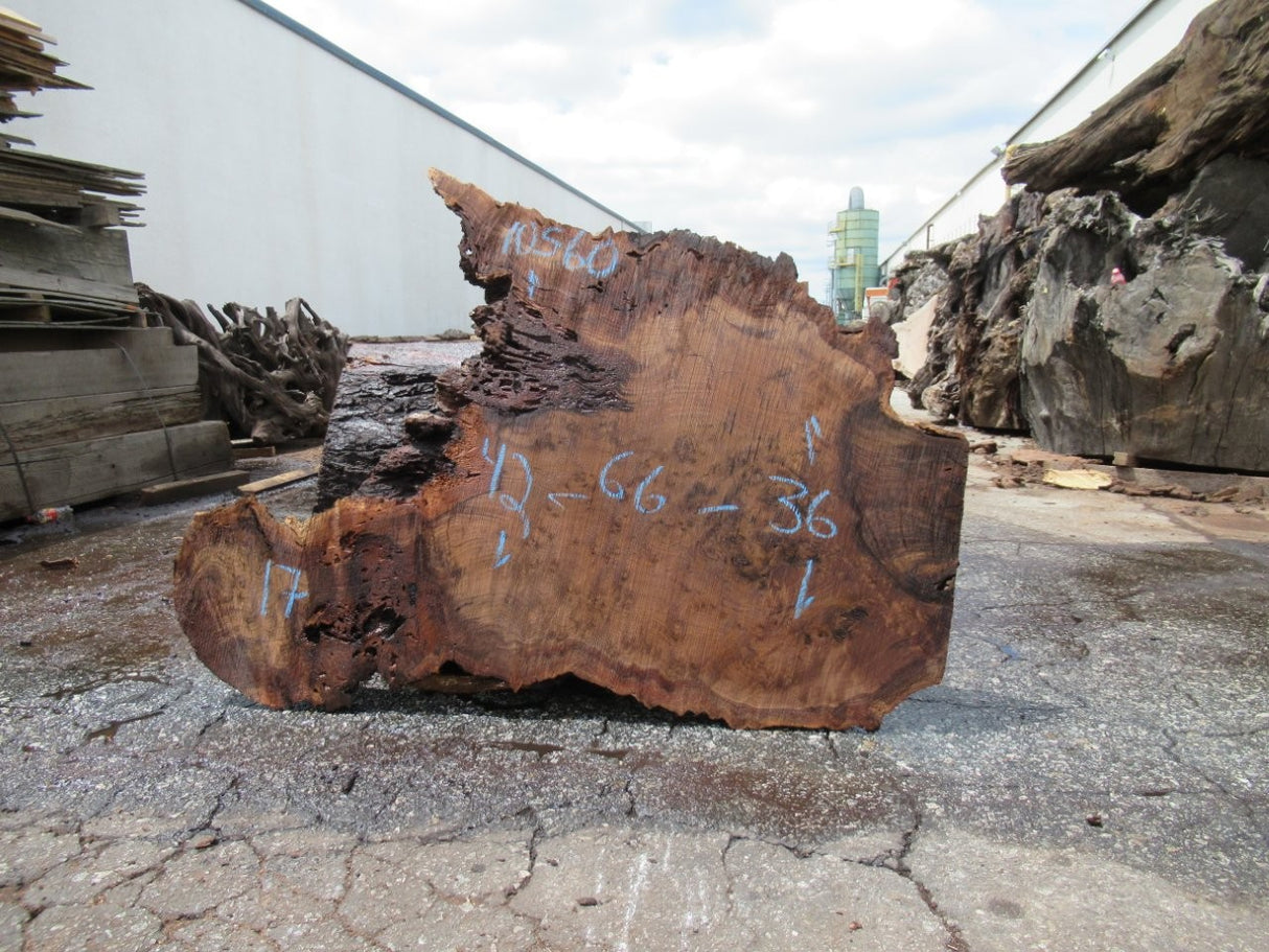 Claro Walnut 12/4 Live Edge #084