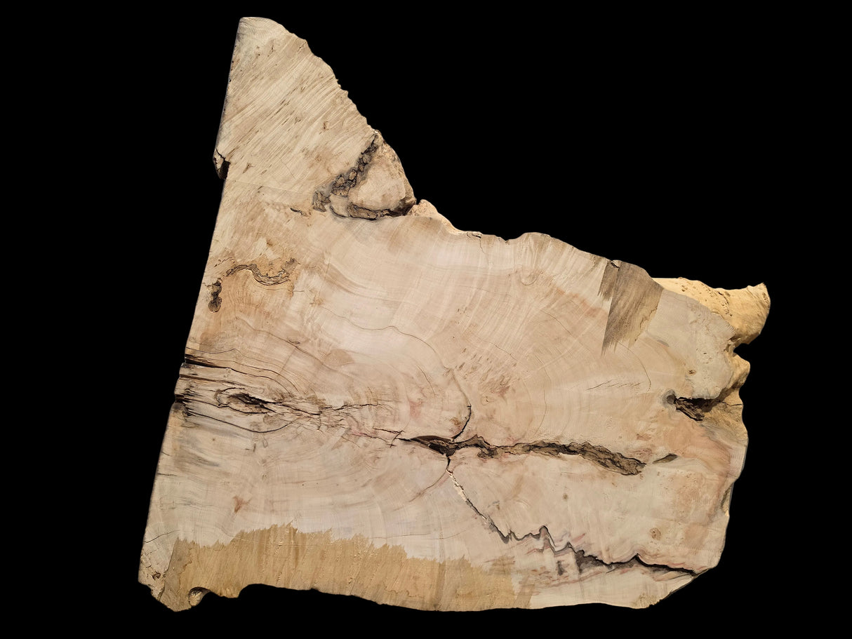 Maple, Box Elder Live Edge #021