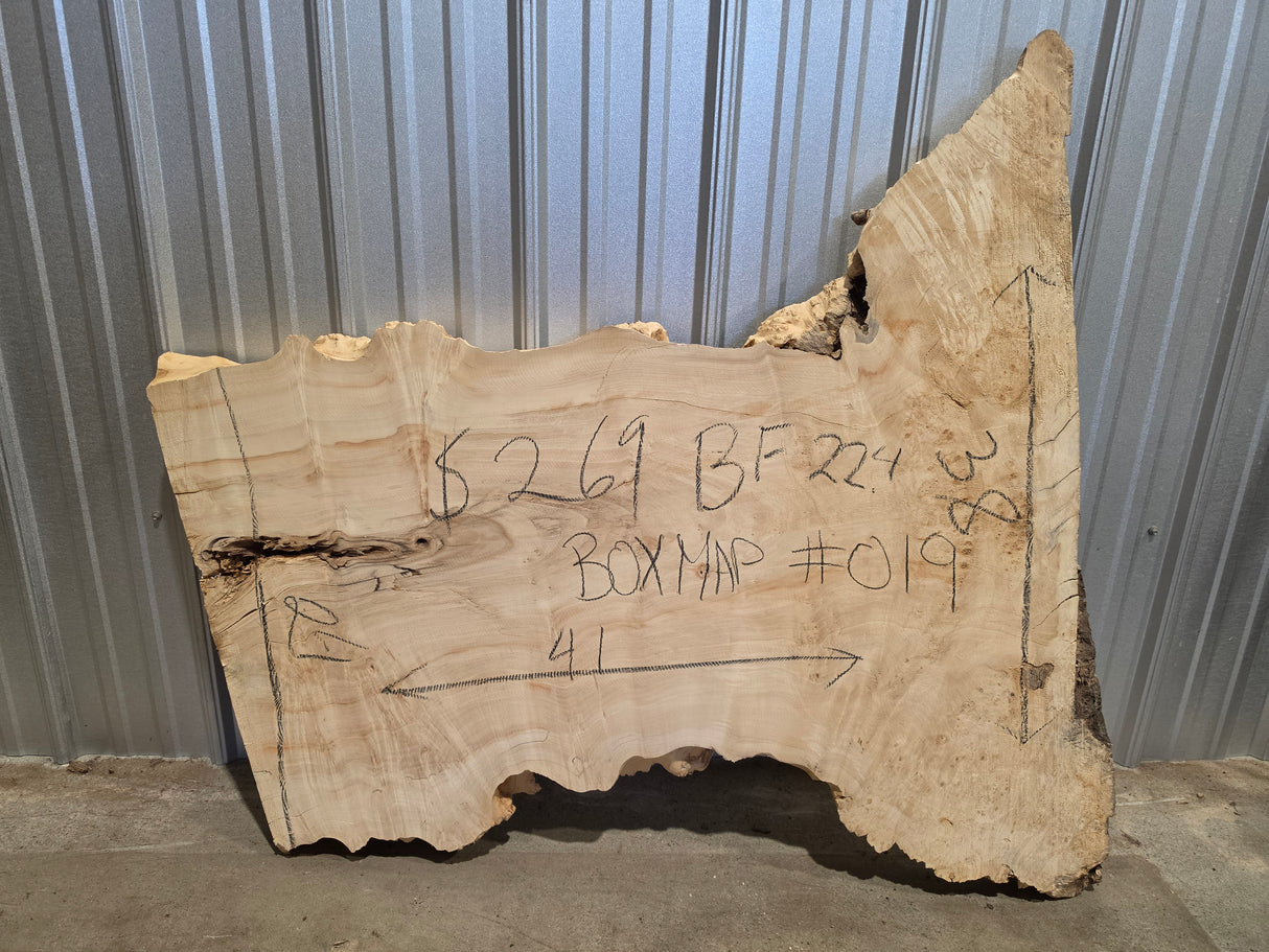Maple, Box Elder Live Edge #019
