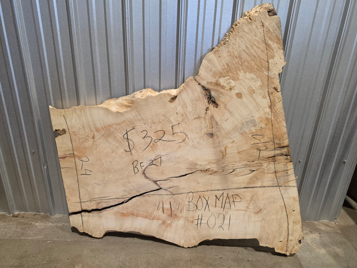 Maple, Box Elder Live Edge #021