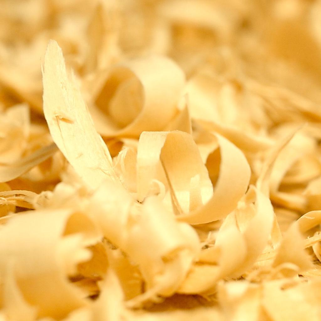 Fundamentals of Wood Carving