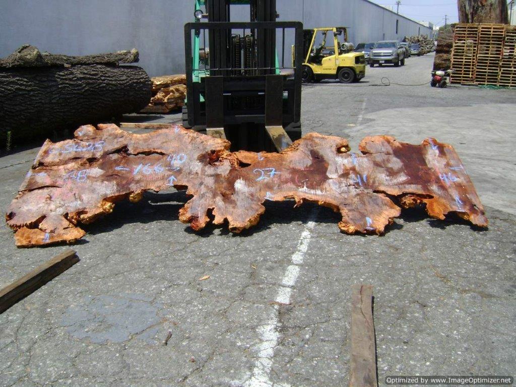 Willow Live Edge #05628