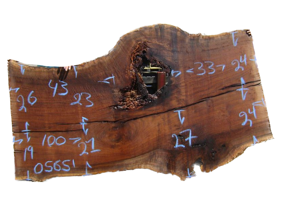 Claro Walnut Live Edge #05651