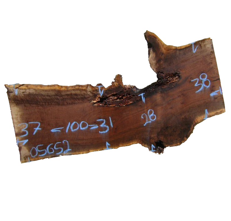 Claro Walnut Live Edge #05652
