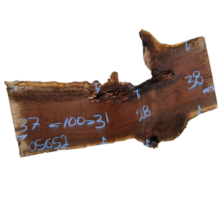 Claro Walnut Live Edge #05652