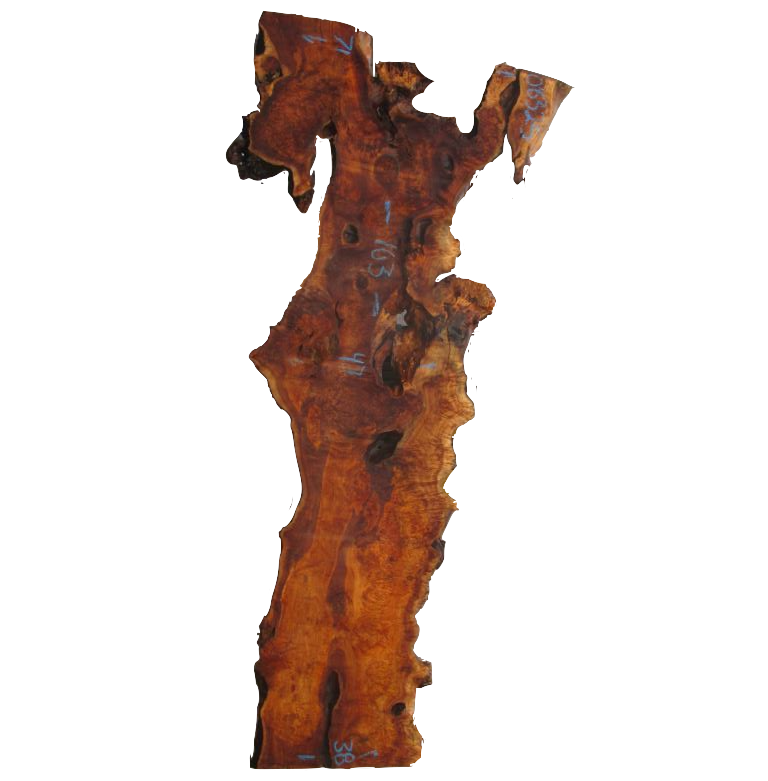 California Cottonwood Slab #08325
