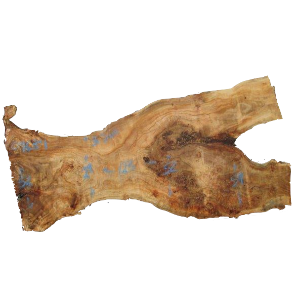 California Cottonwood Live Edge 09634 Black Forest Wood Co.