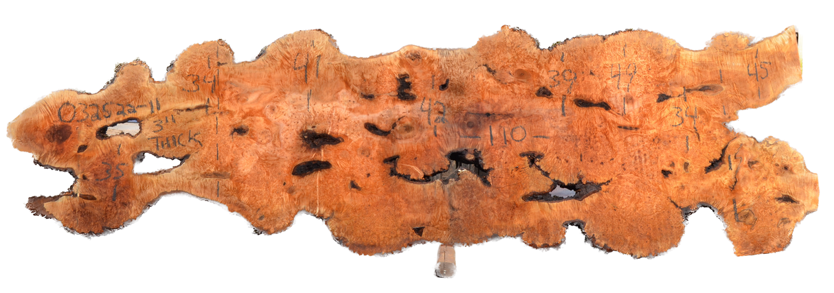 Maple Burl Live Edge #003