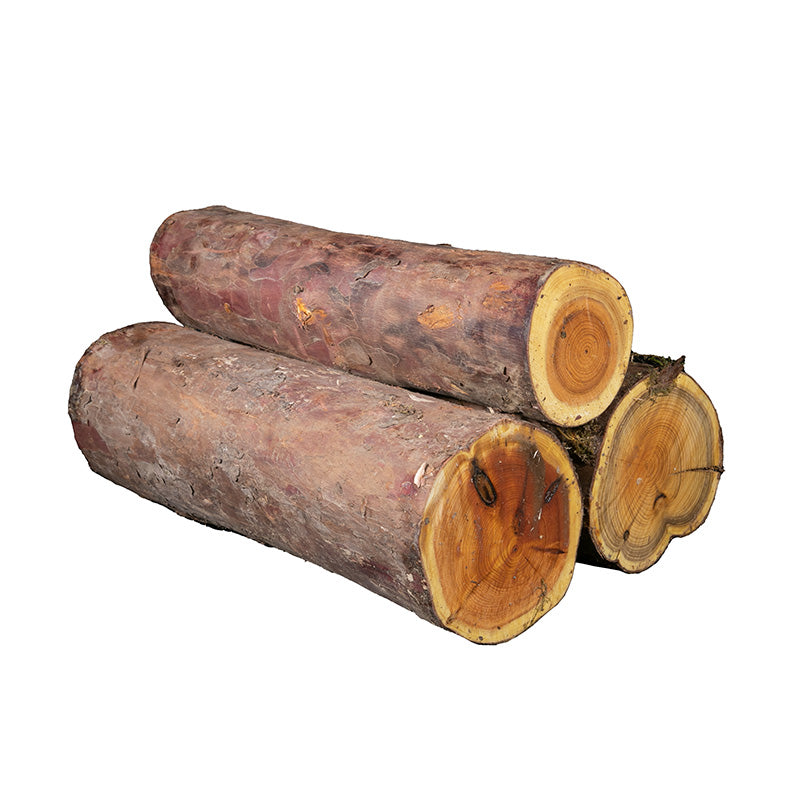Yew Logs - sold per piece
