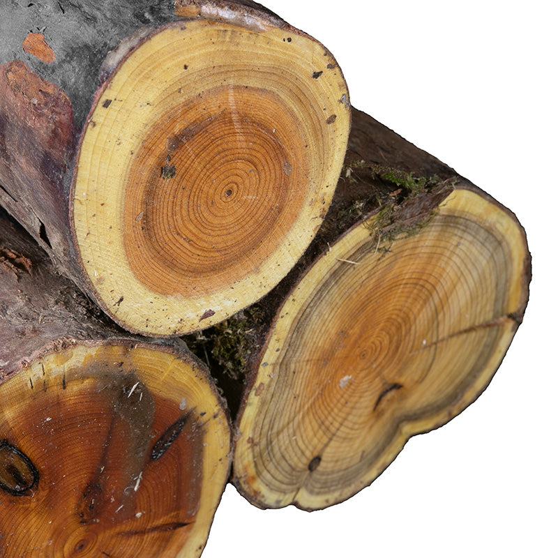 Yew Logs - sold per piece