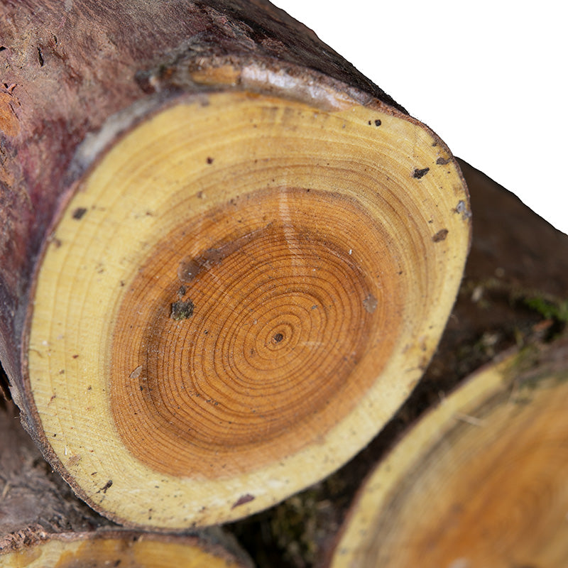 Yew Logs - sold per piece