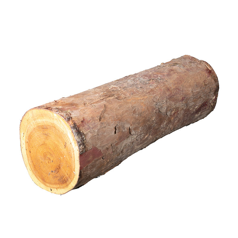 Yew Logs - sold per piece