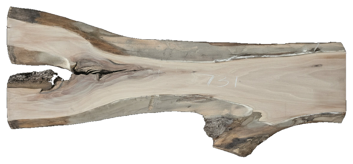 Black Walnut 8/4 Live Edge #731