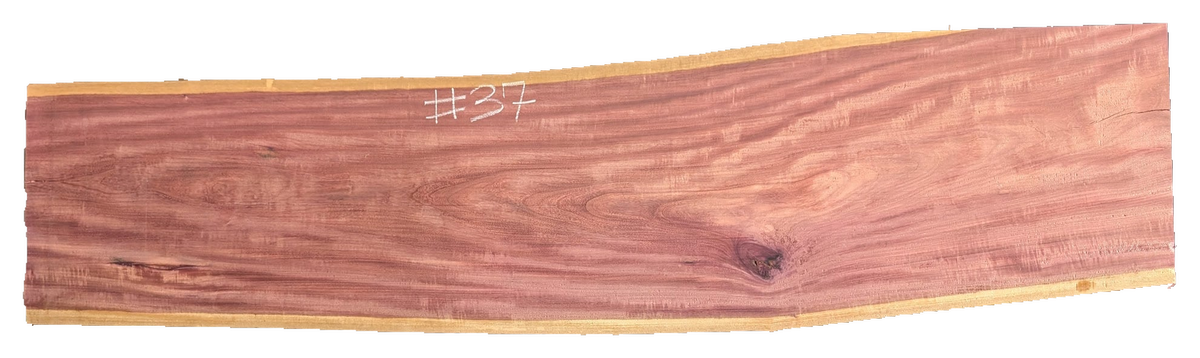 Purpleheart 5/4 Live Edge #037