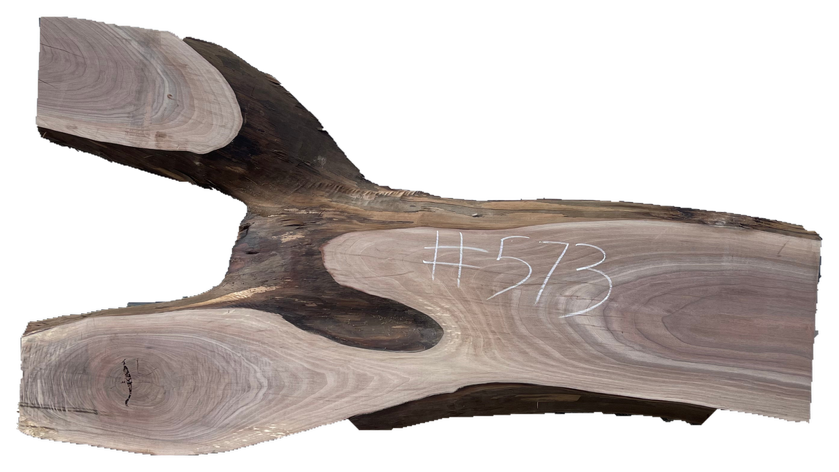 Black Walnut 10/4 Live Edge #573