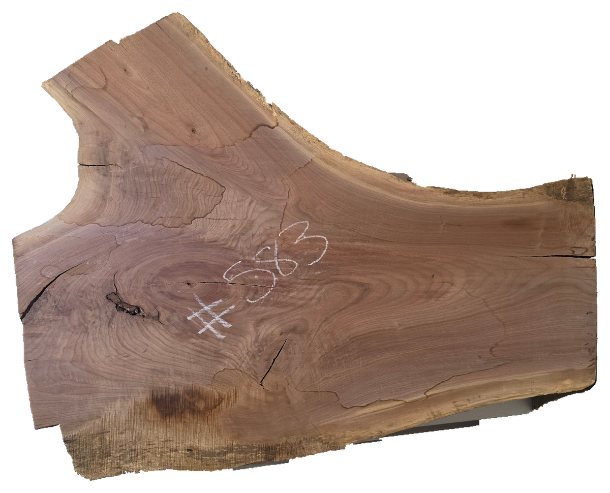 Black Walnut 10/4 Live Edge #583