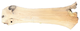 Ash 10/4 Live Edge #007
