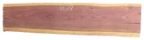 Purpleheart 5/4 Live Edge #029
